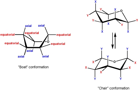 Ring Glucose In Hybrid Ring Glucose In Hybrid