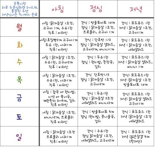 일주일 다이어트 일주일다이어트 운동 식단 프로그램 네이버 블로그