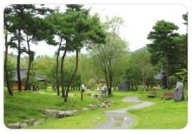 죽향 이미지