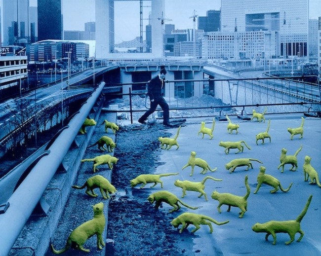 Photographer 75 샌디 스코글런드 Sandy Skoglund 네이버 블로그