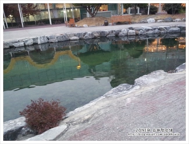 테르메덴 이미지