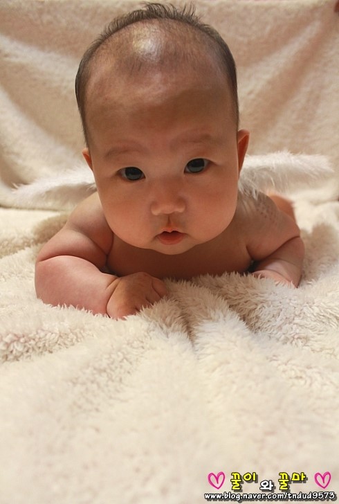 복댕이네 이미지