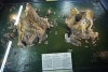 kraken archeage map