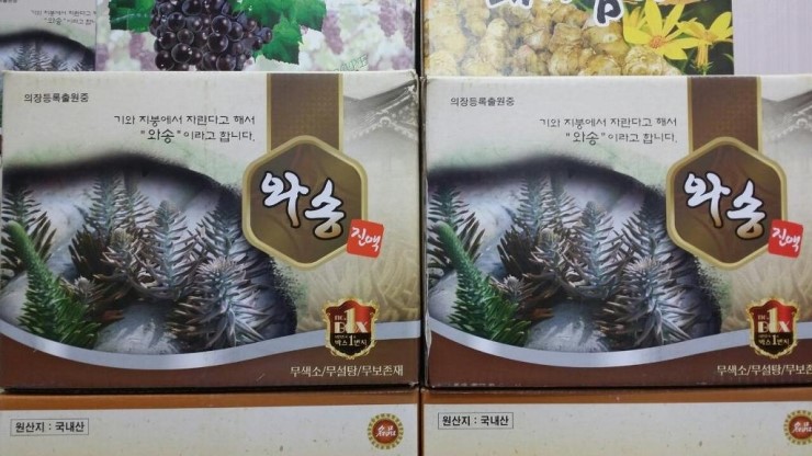 약초나라 이미지