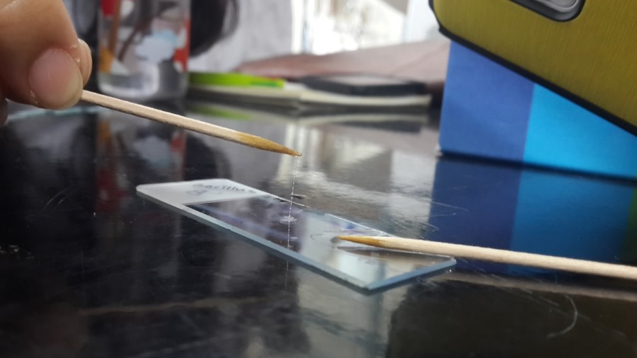 3 KOH test 네이버 블로그