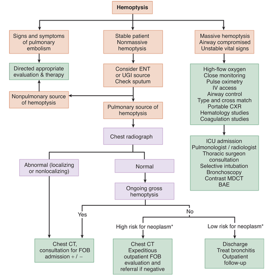 x chart flow ray ë¸ë¡ê·¸ : ìê¸ìí 063 Hemoptysis ë¤ì´ë² x chart flow ray ë¸ë¡ê·¸ : ìê¸ìí 063 Hemoptysis ë¤ì´ë²