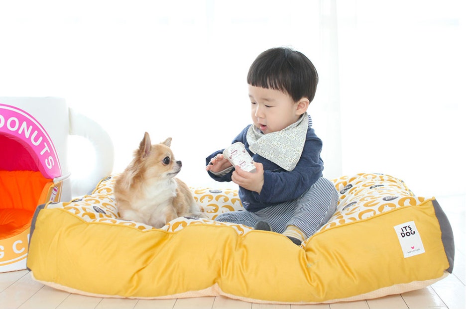 2016 케이펫(K-PET) 서울 SETEC 참가기업 안내 : 네이트판 2016 케이펫(K-PET) 서울 SETEC 참가기업 안내