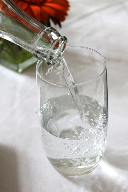 아침 공복 물 한 잔의 위력 - 호주직구 원파인즈 블로그