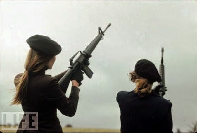 아일랜드 공화국군 Ira 여성의 Ar 18 자동소총 A Female Ira Fighter Ar 18 Rifle 네이버 블로그 2103