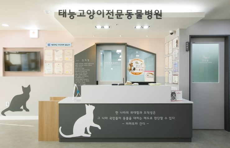 태능동물병원/인테리어 사진촬영/개원병원촬영/고양이전문병원/김재영원장/한국고양이수의사회/반려동물스튜디오/애견스튜디오/애묘스튜디오 ...