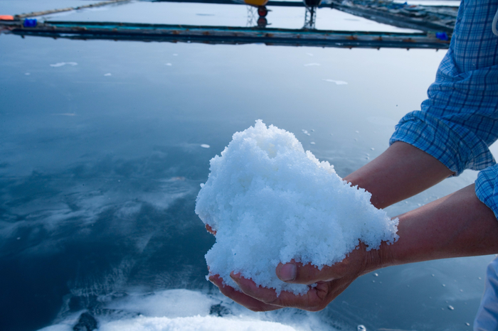 샐러리맨의 유래를 아시나요? | 인스티즈