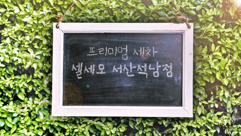 서산셀세모 이미지