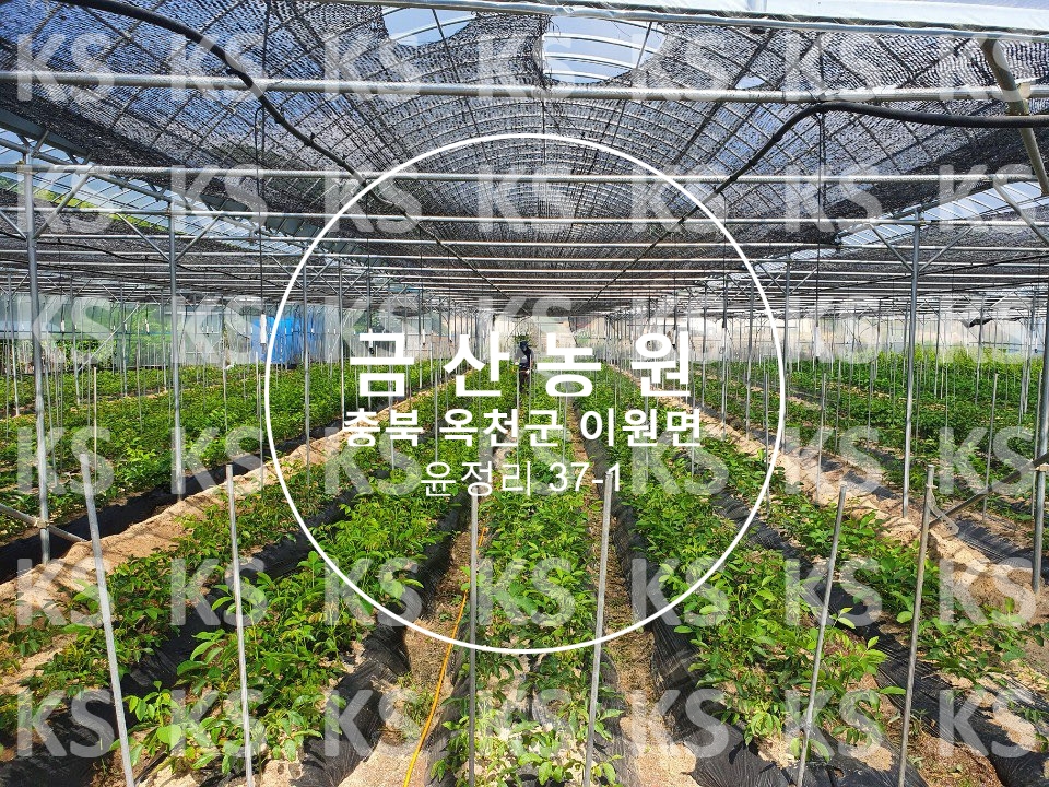 태산방제 이미지