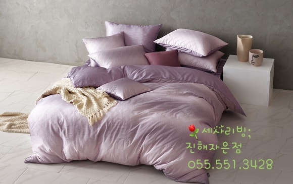 수아르 이미지